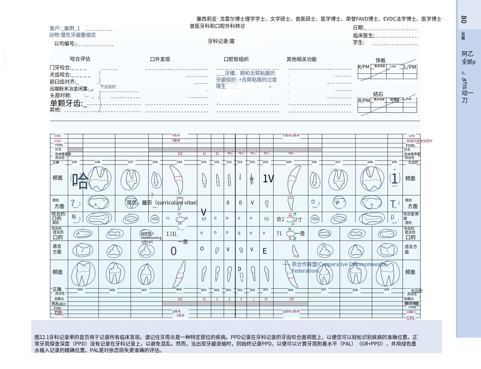 translated.b7292c0d57be45399560cb3cf2e1883e_96.png