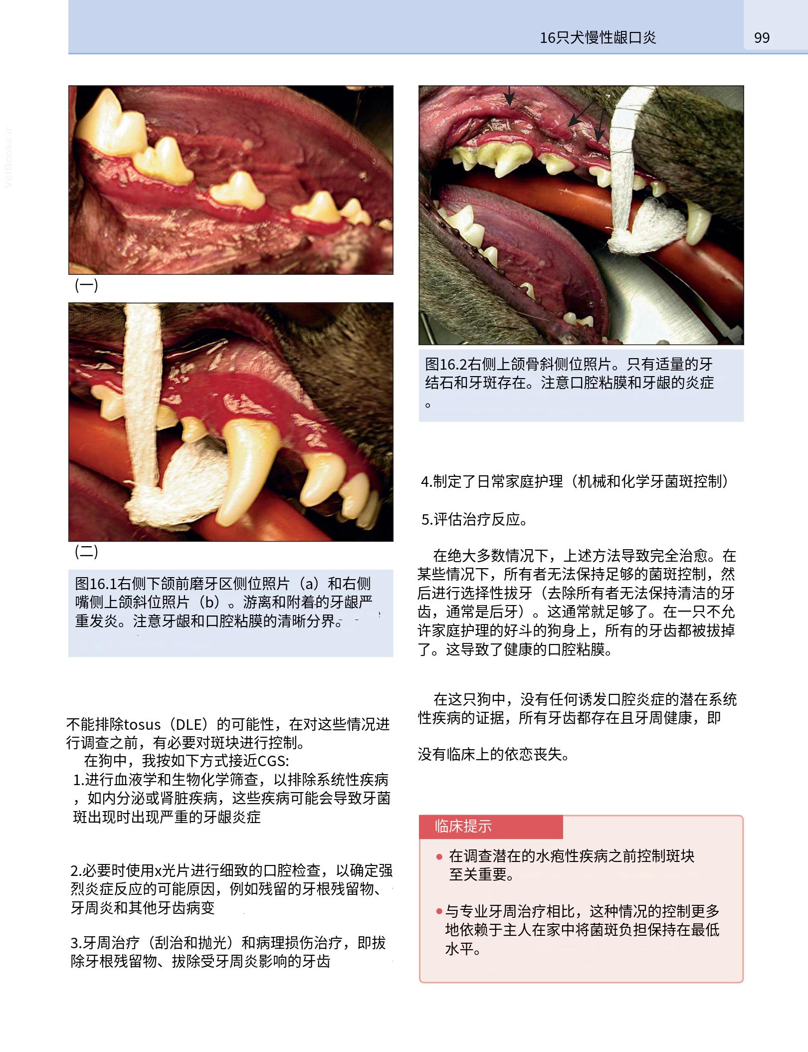 translated.190871bac2d541c7a0f8f6f738909688_115.png