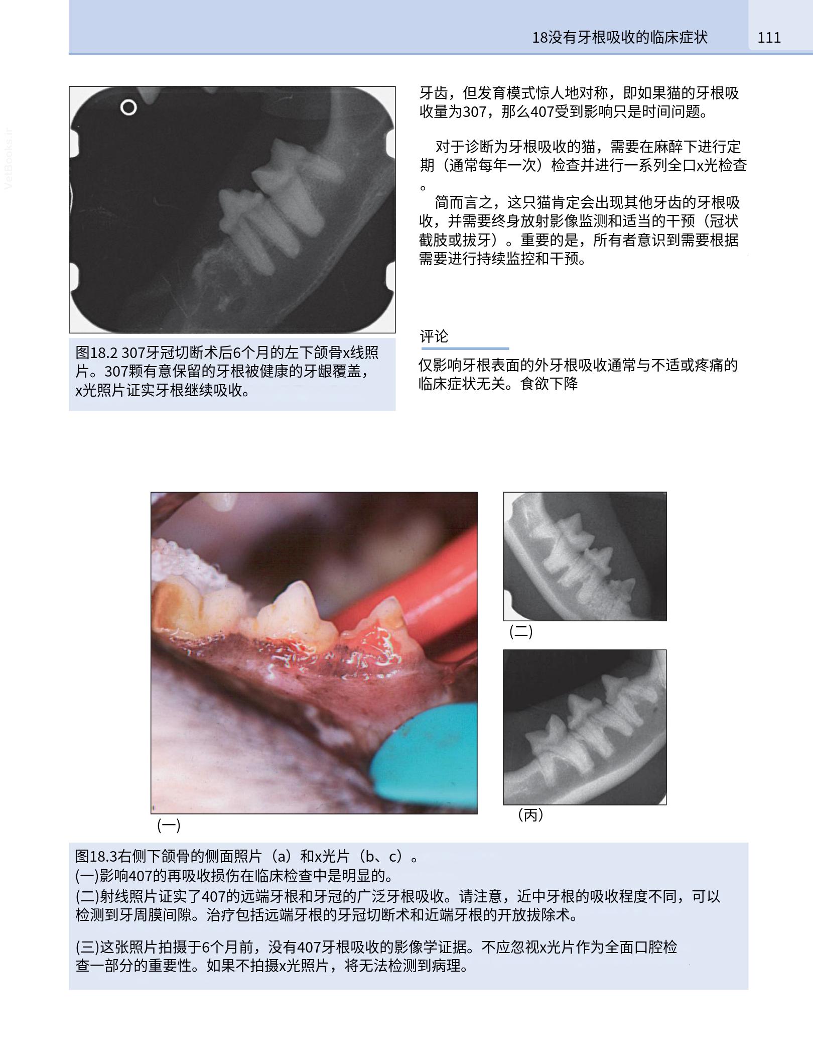 translated.190871bac2d541c7a0f8f6f738909688_127.png