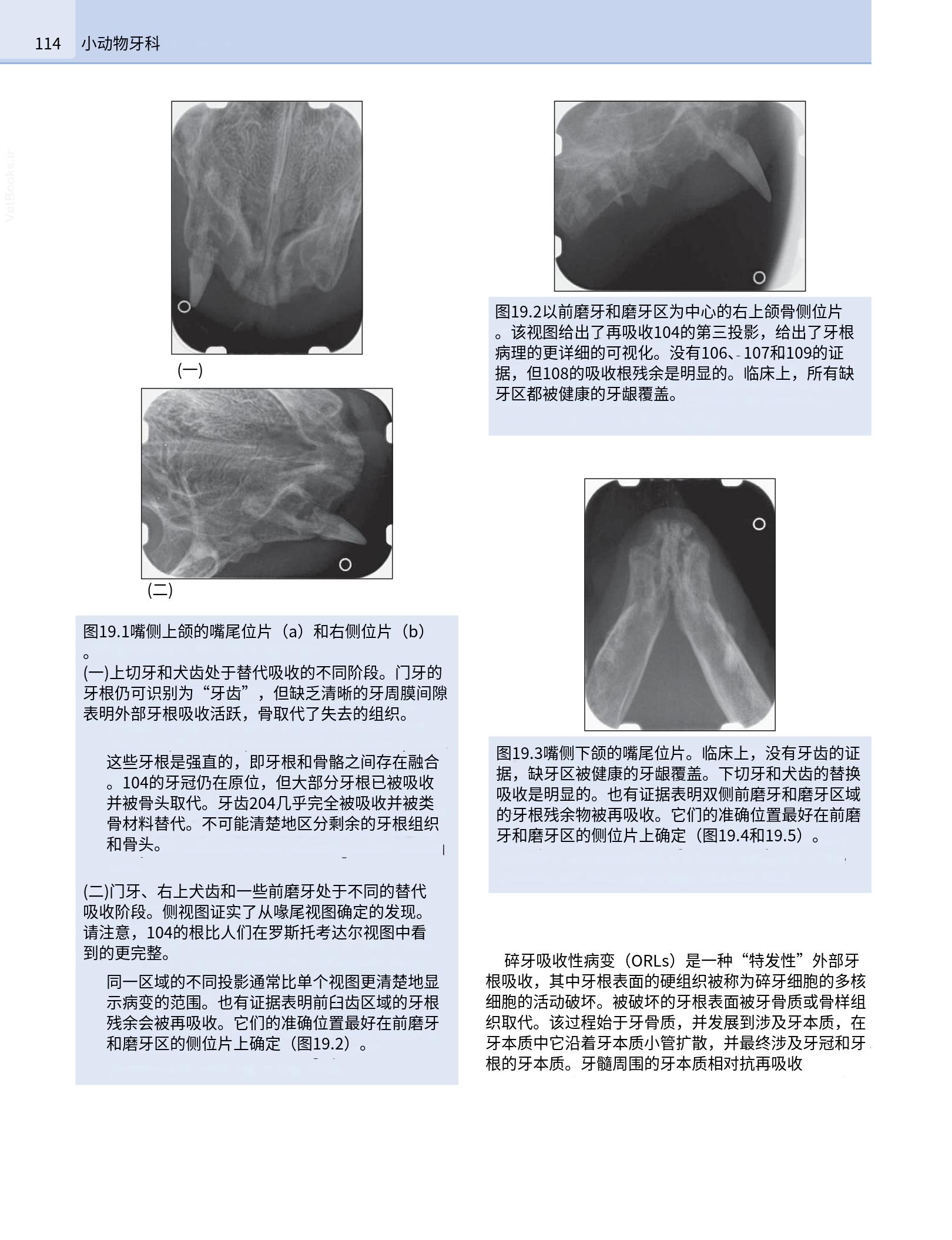 translated.190871bac2d541c7a0f8f6f738909688_130.png