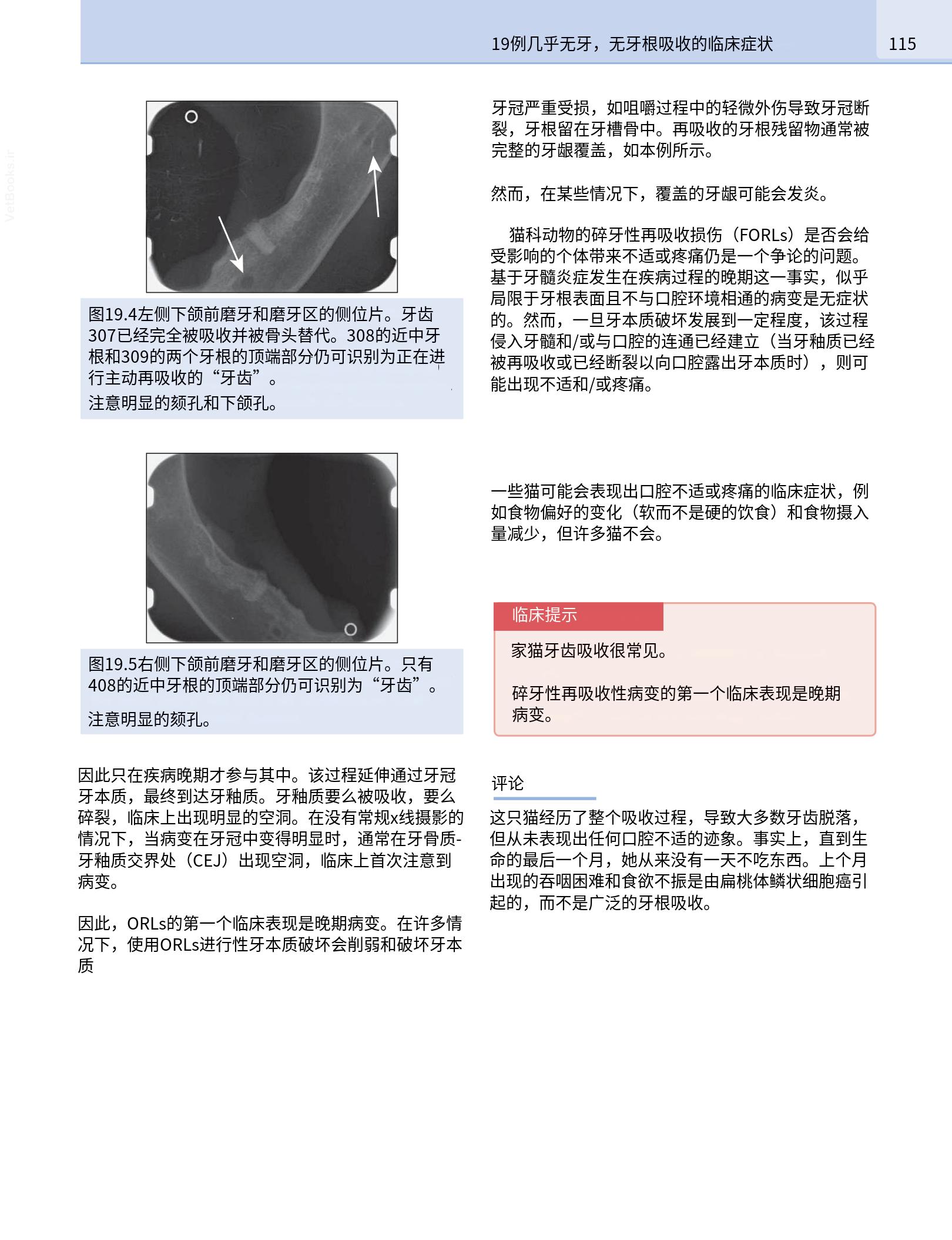 translated.190871bac2d541c7a0f8f6f738909688_131.png