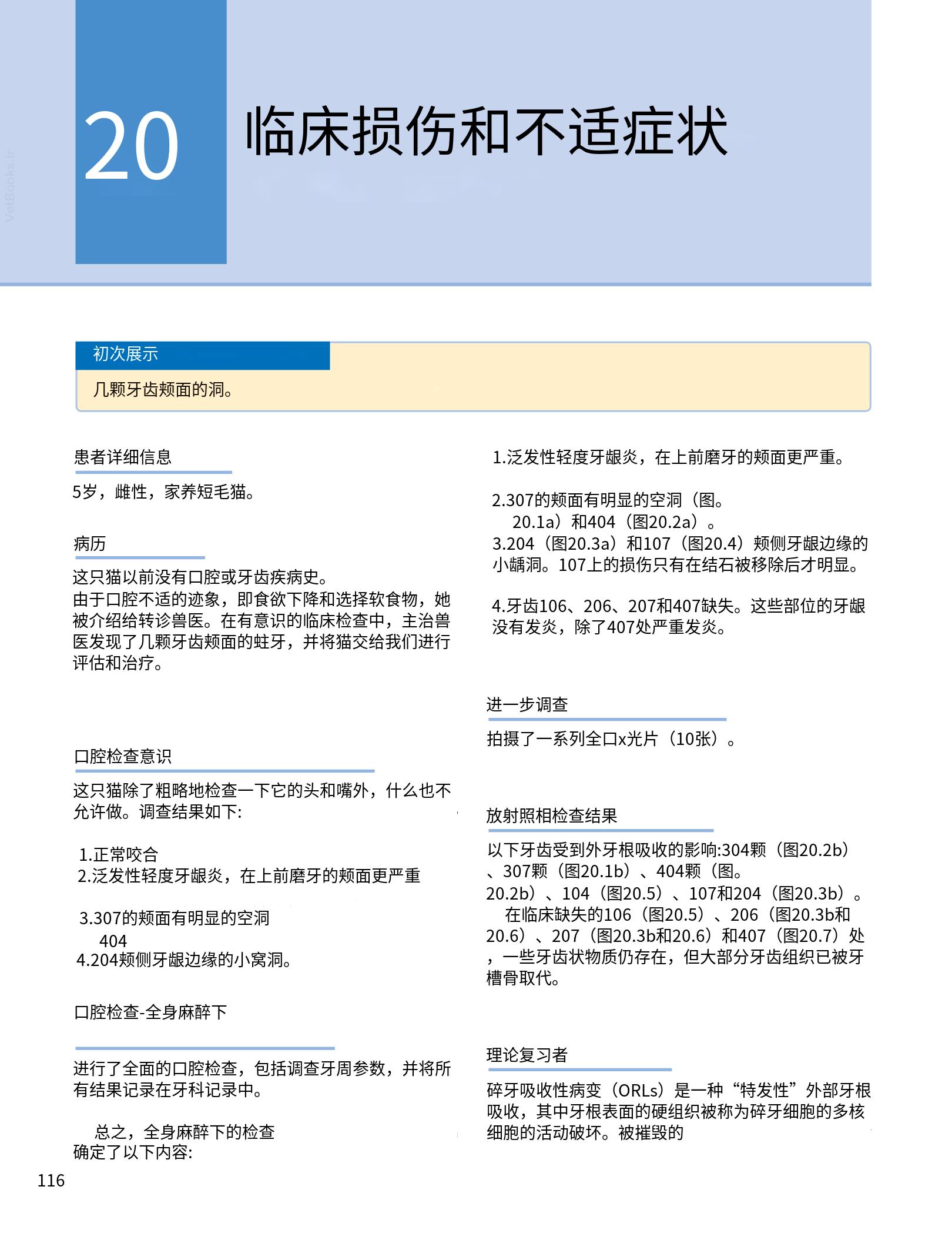 translated.190871bac2d541c7a0f8f6f738909688_132.png