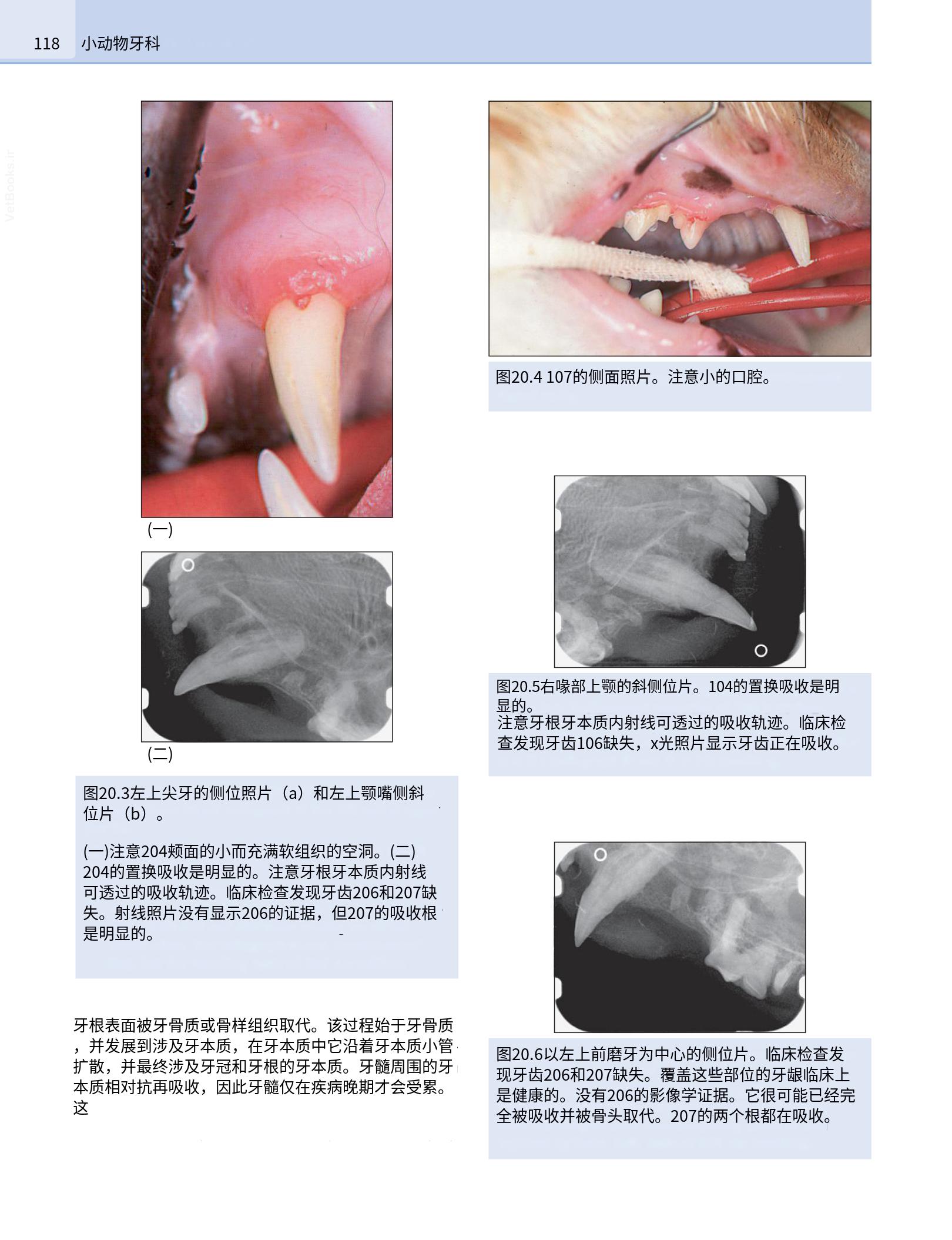 translated.190871bac2d541c7a0f8f6f738909688_134.png