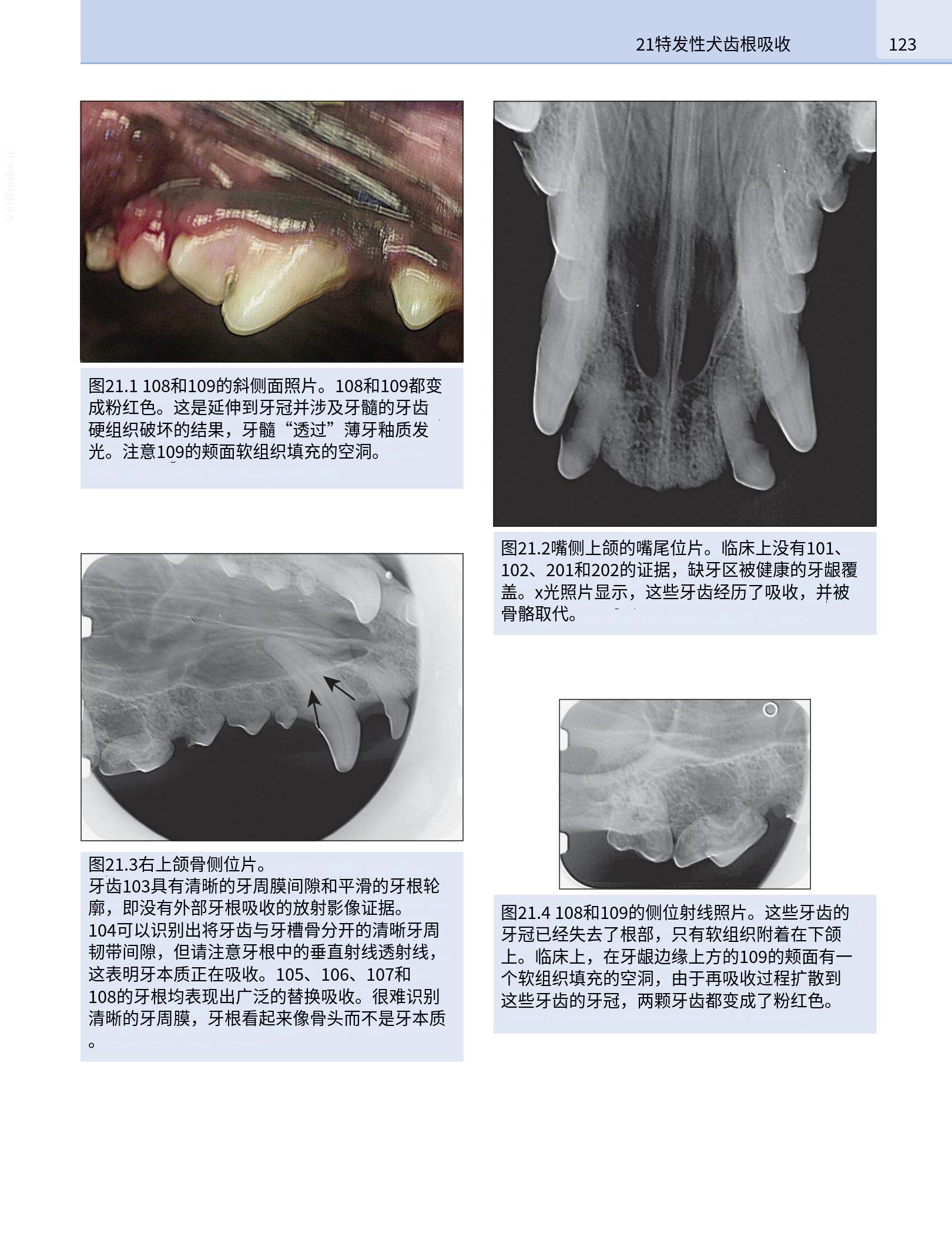 translated.190871bac2d541c7a0f8f6f738909688_139.png