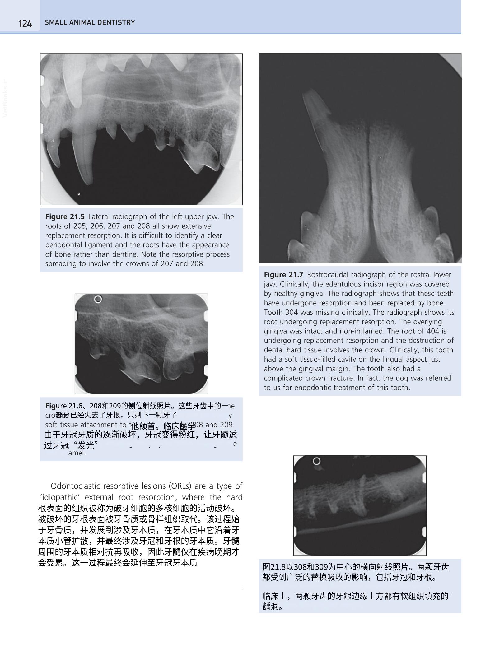 translated.190871bac2d541c7a0f8f6f738909688_140.png