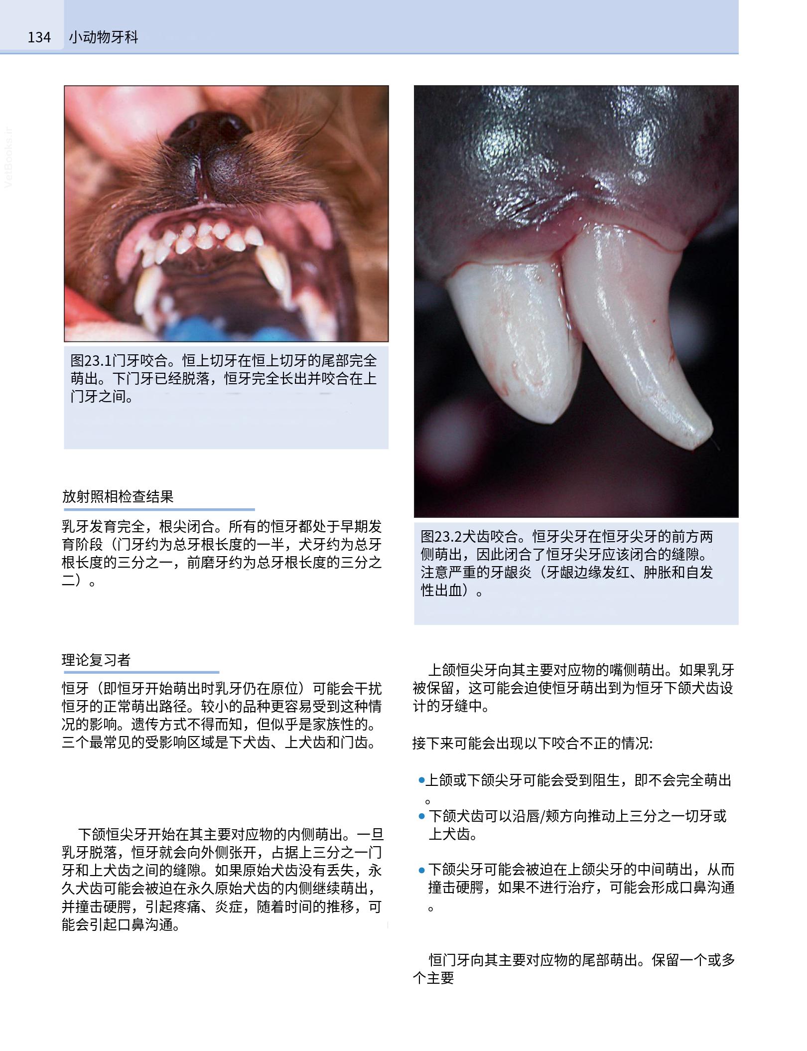 translated.190871bac2d541c7a0f8f6f738909688_150.png