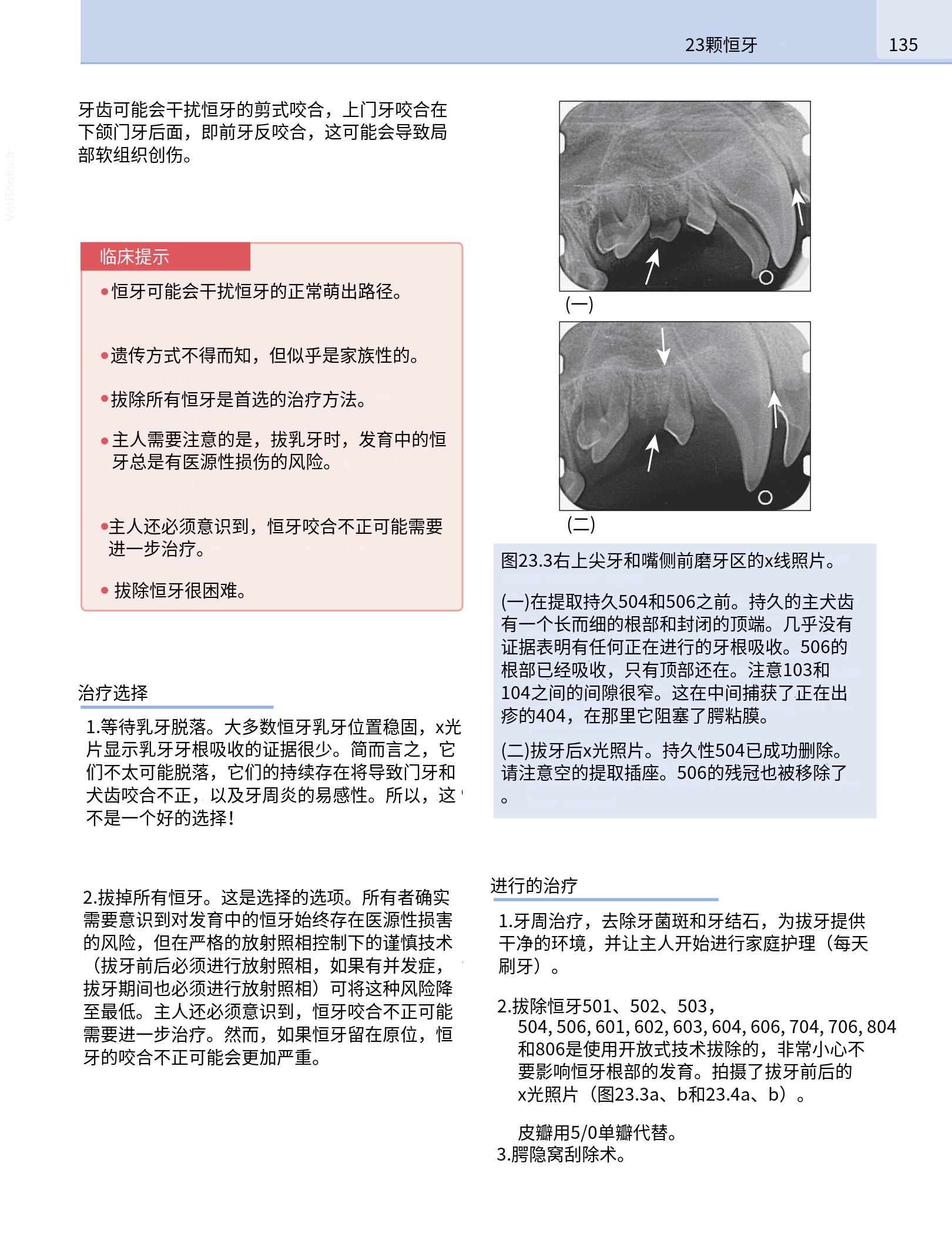 translated.190871bac2d541c7a0f8f6f738909688_151.png