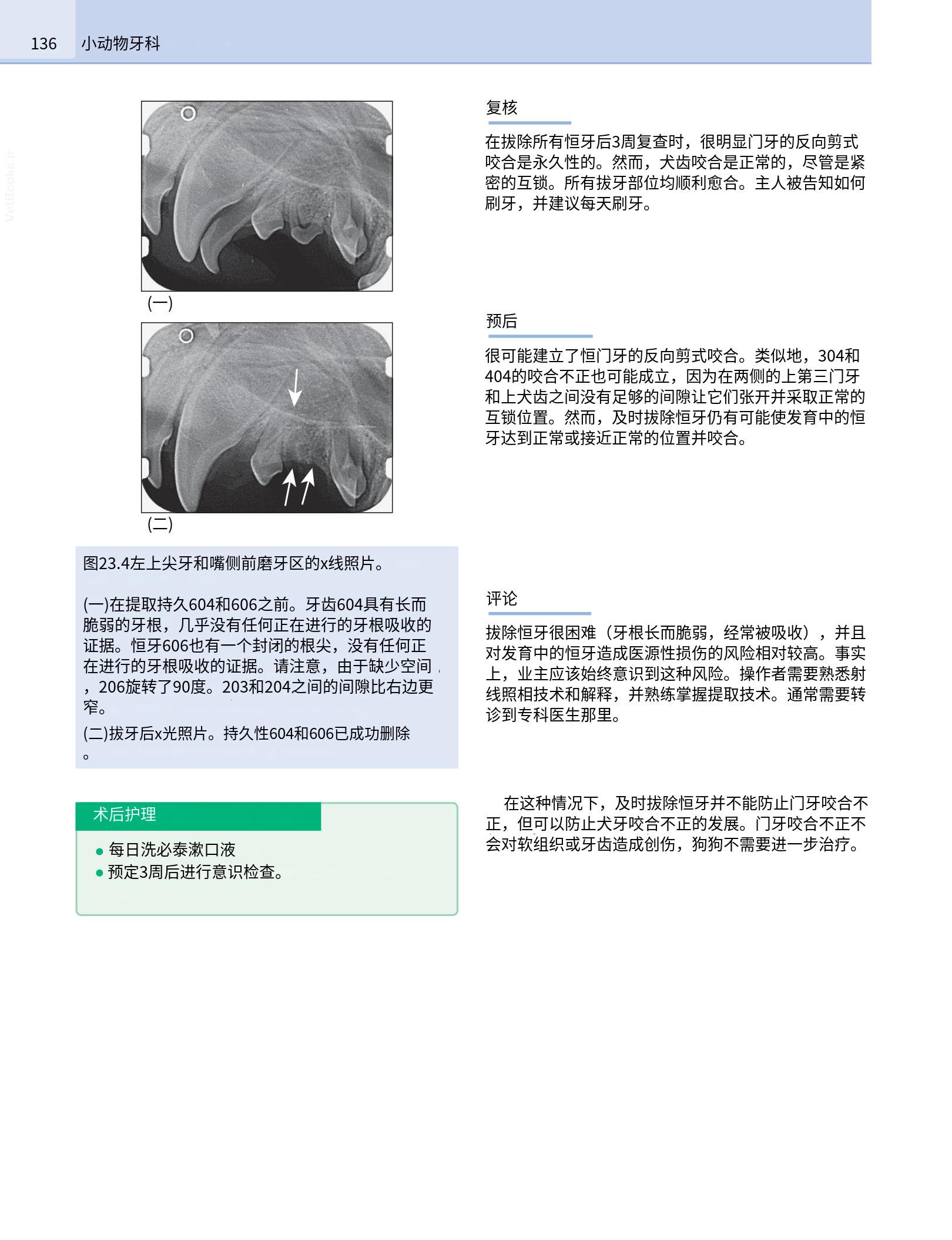 translated.190871bac2d541c7a0f8f6f738909688_152.png