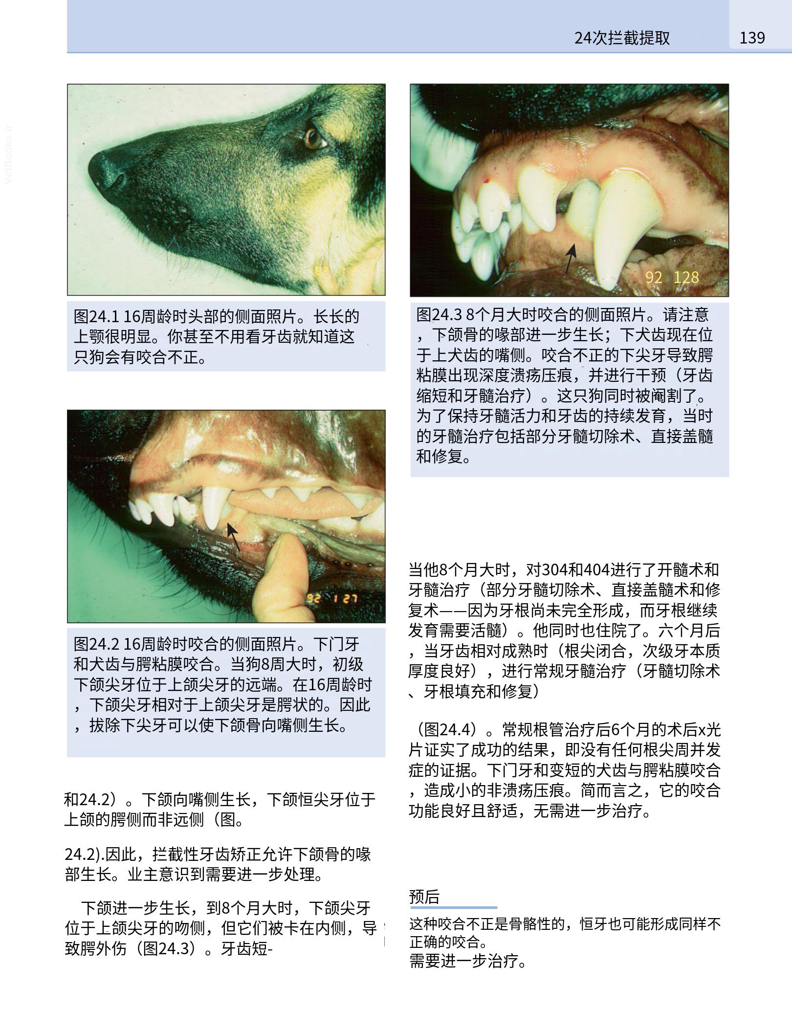 translated.190871bac2d541c7a0f8f6f738909688_155.png