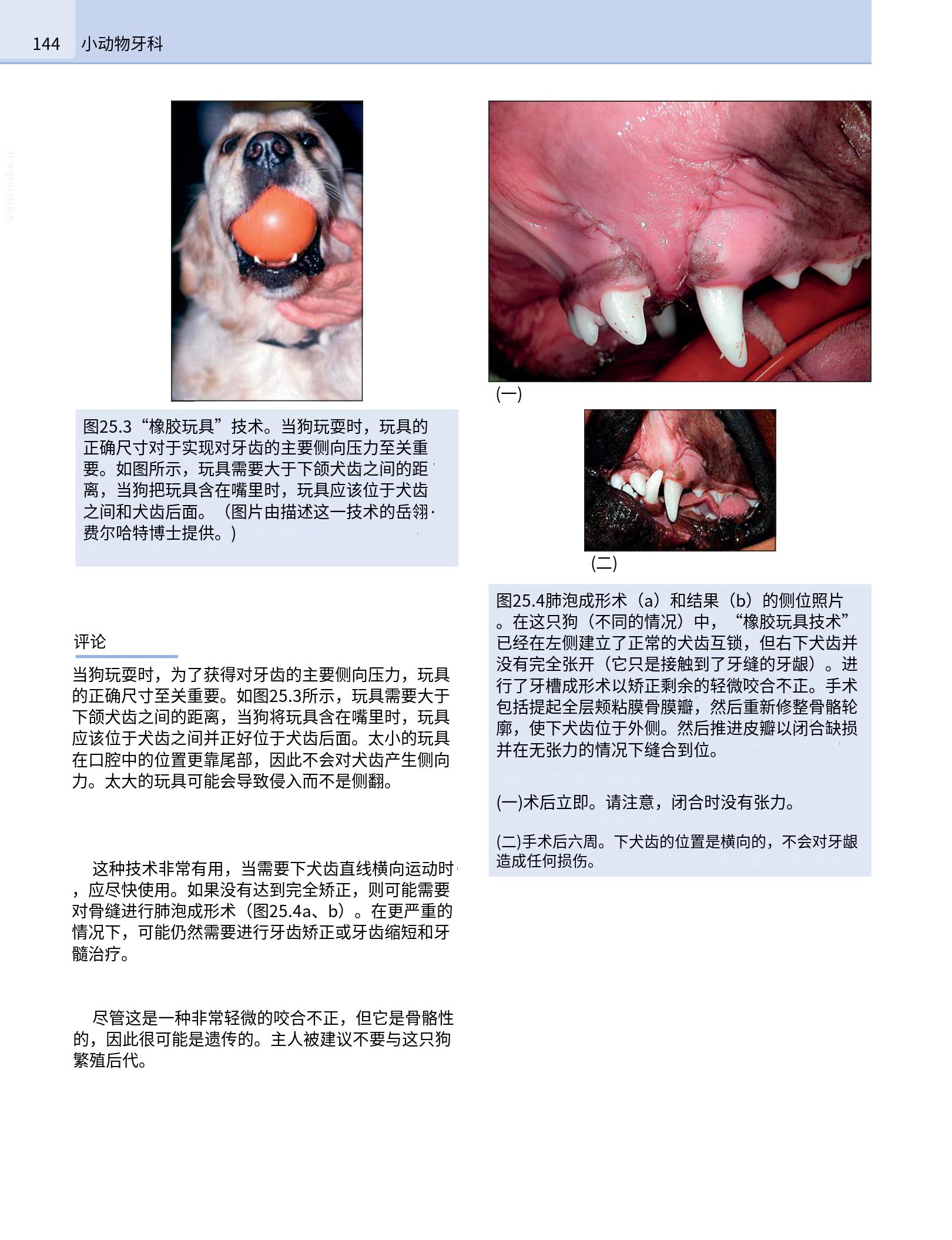 translated.190871bac2d541c7a0f8f6f738909688_160.png