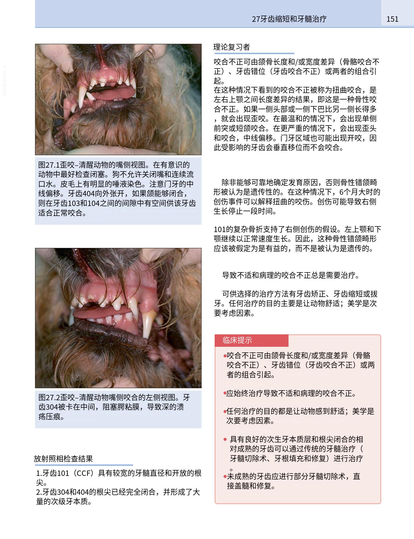 translated.190871bac2d541c7a0f8f6f738909688_167.png