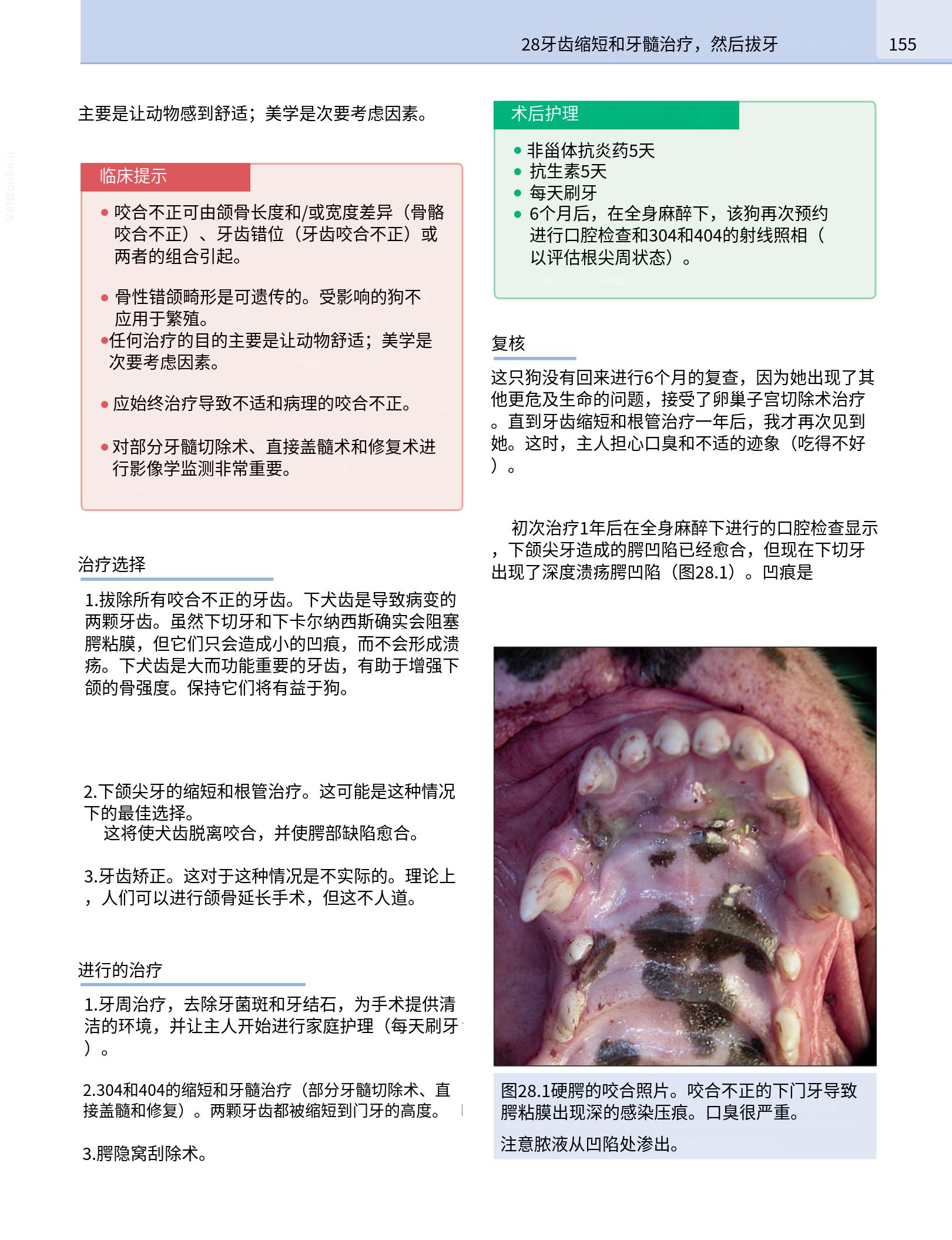 translated.190871bac2d541c7a0f8f6f738909688_171.png