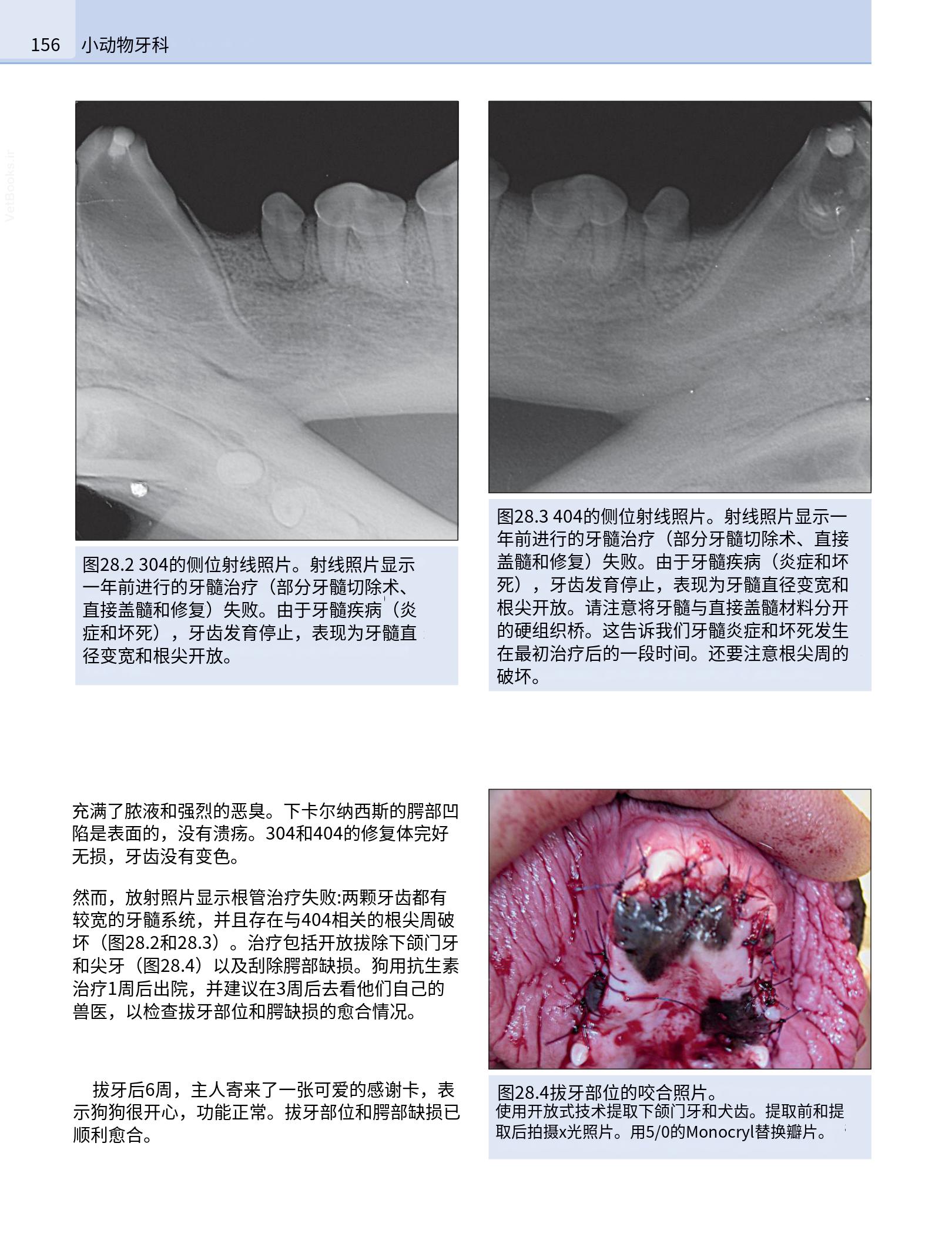 translated.190871bac2d541c7a0f8f6f738909688_172.png