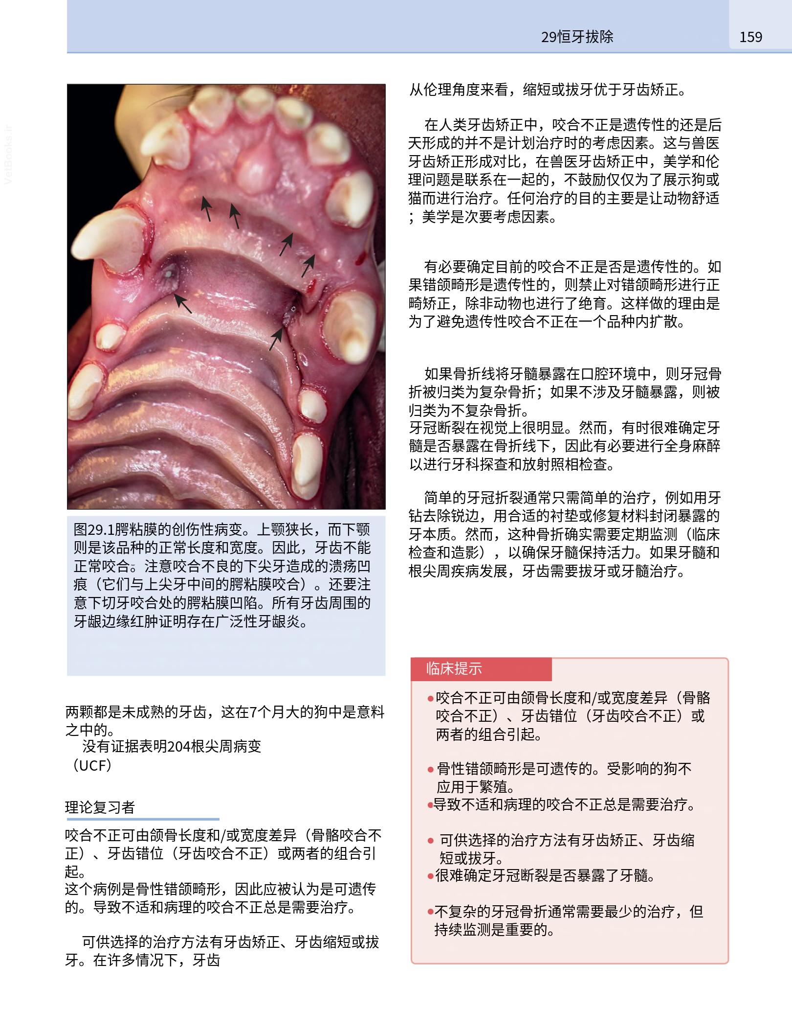 translated.190871bac2d541c7a0f8f6f738909688_175.png
