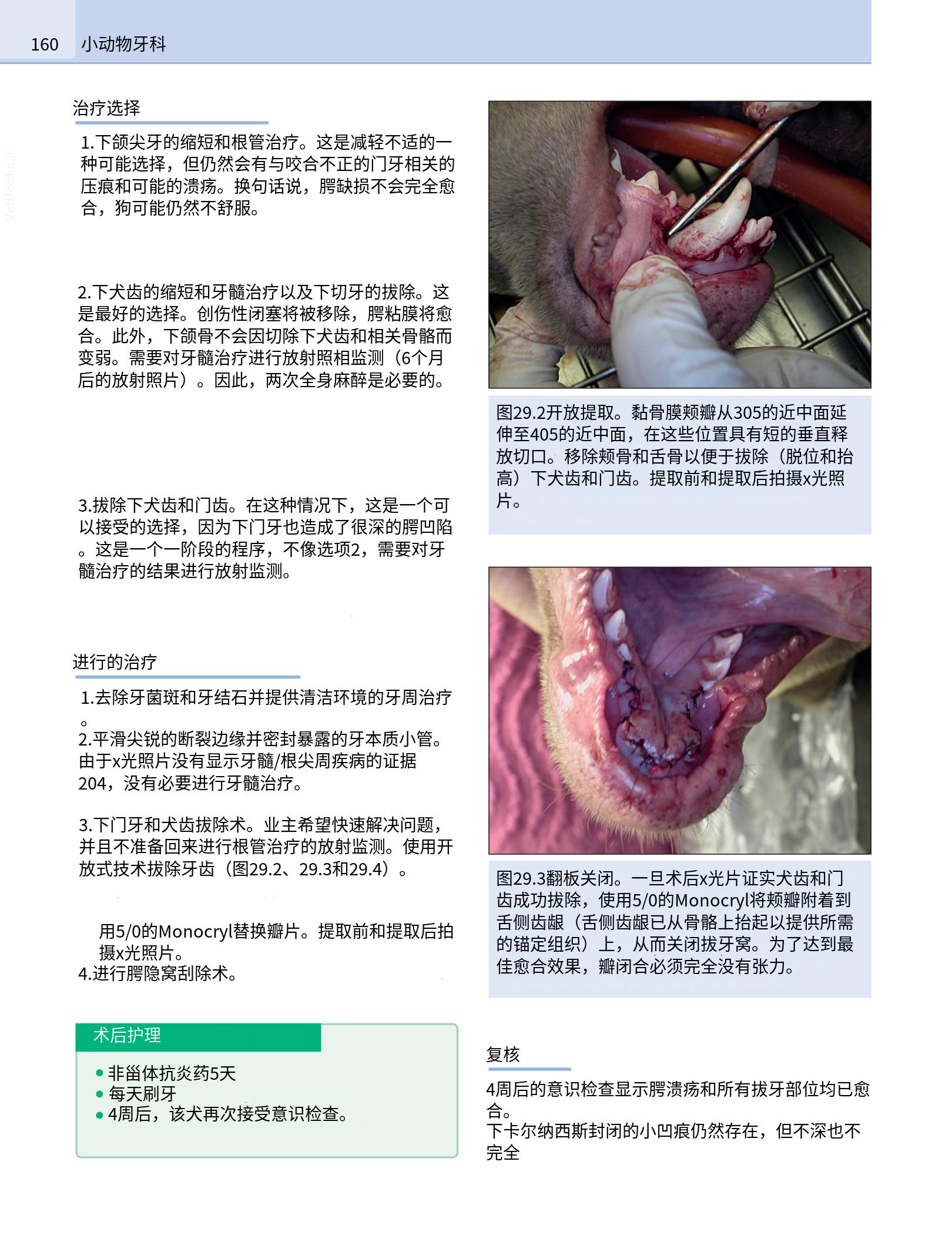 translated.190871bac2d541c7a0f8f6f738909688_176.png