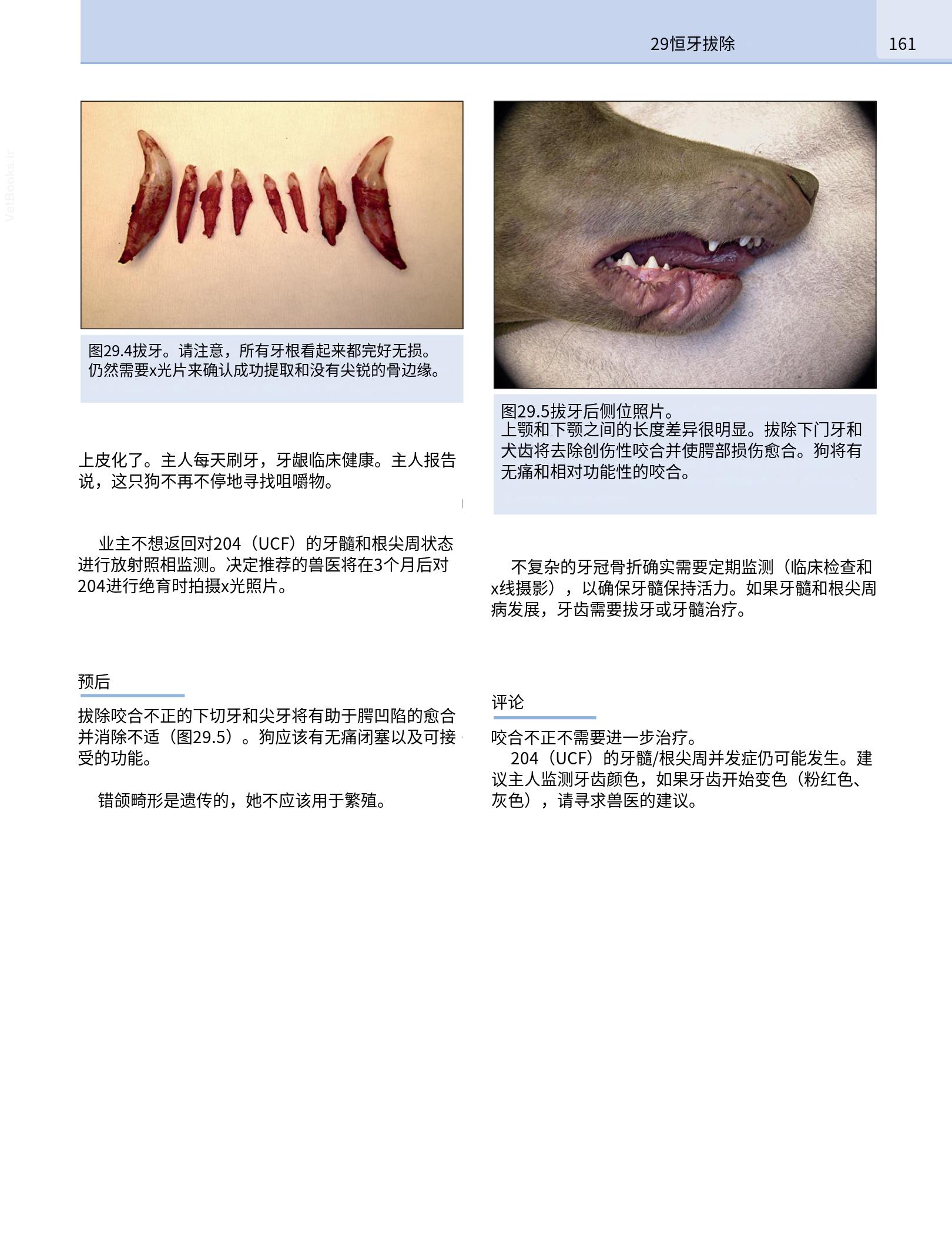 translated.190871bac2d541c7a0f8f6f738909688_177.png