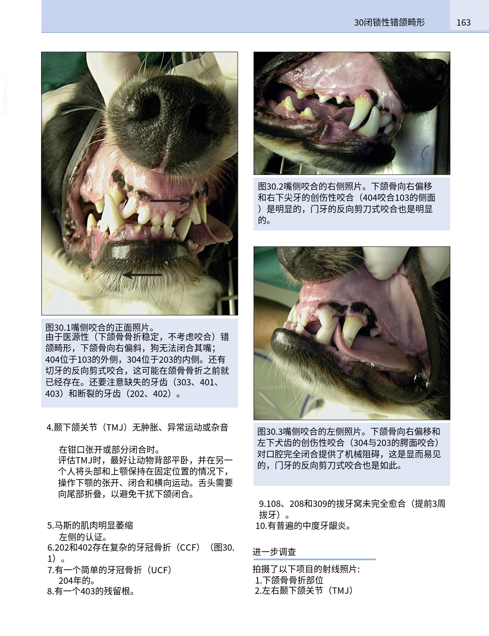 translated.190871bac2d541c7a0f8f6f738909688_179.png
