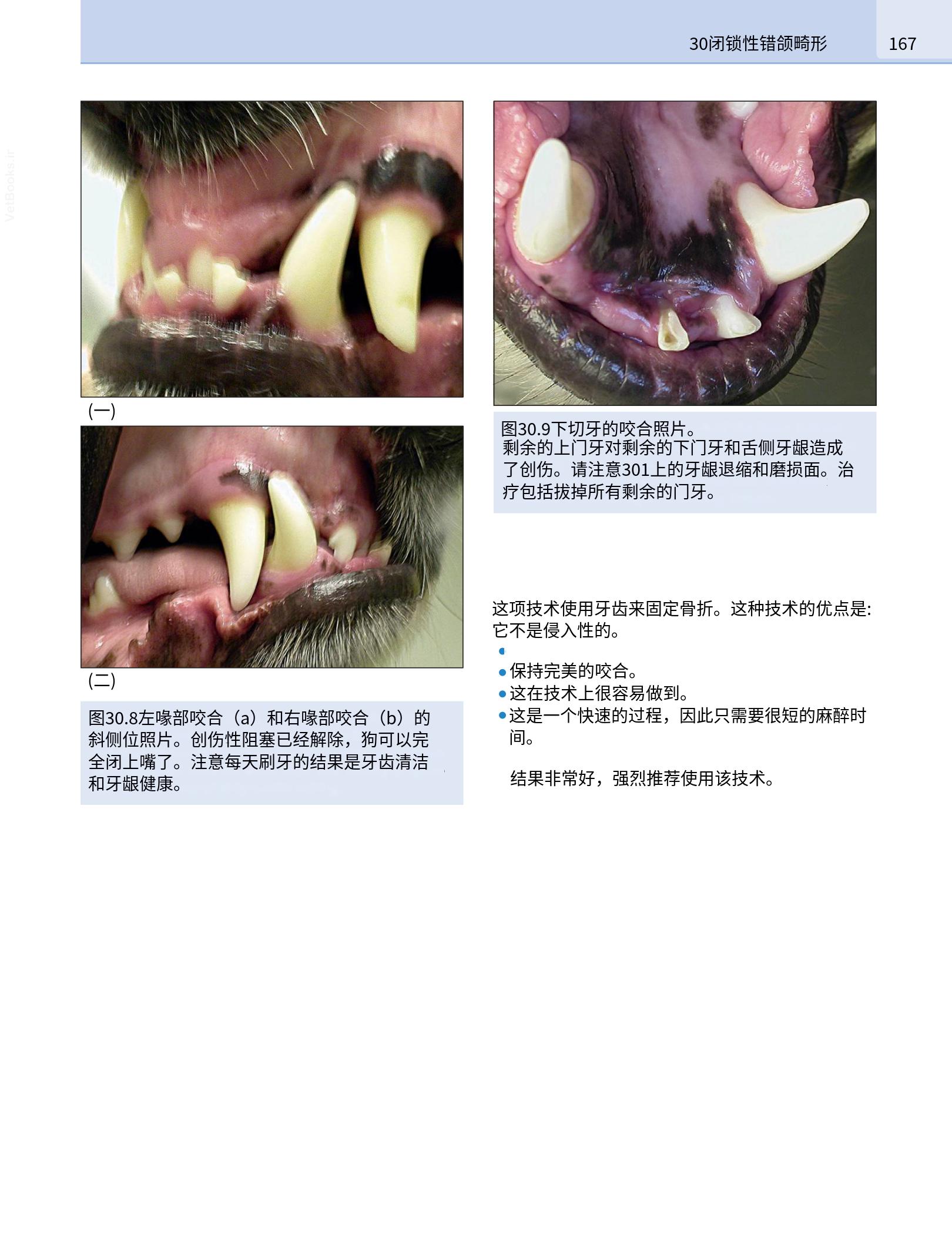 translated.190871bac2d541c7a0f8f6f738909688_183.png
