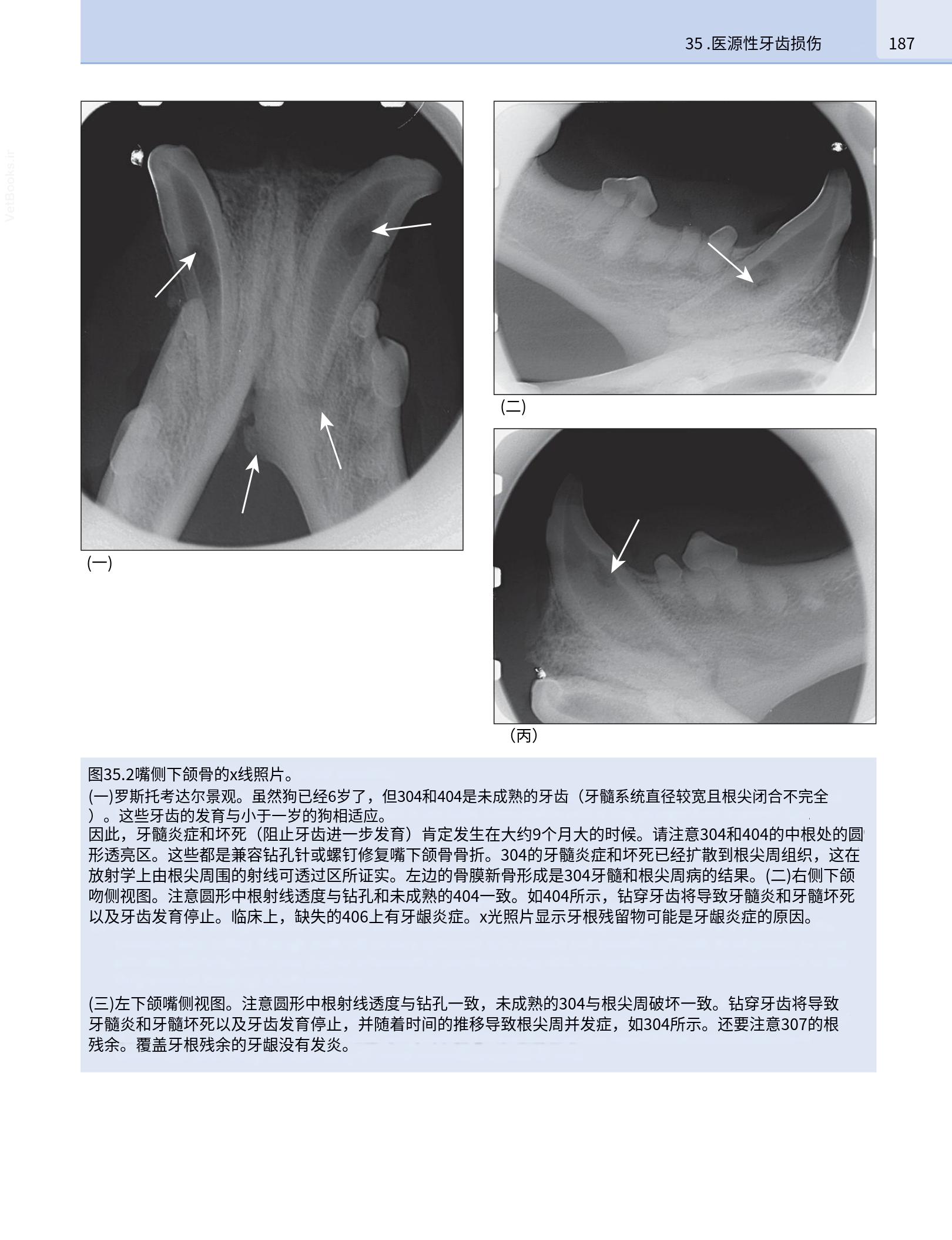 translated.190871bac2d541c7a0f8f6f738909688_203.png