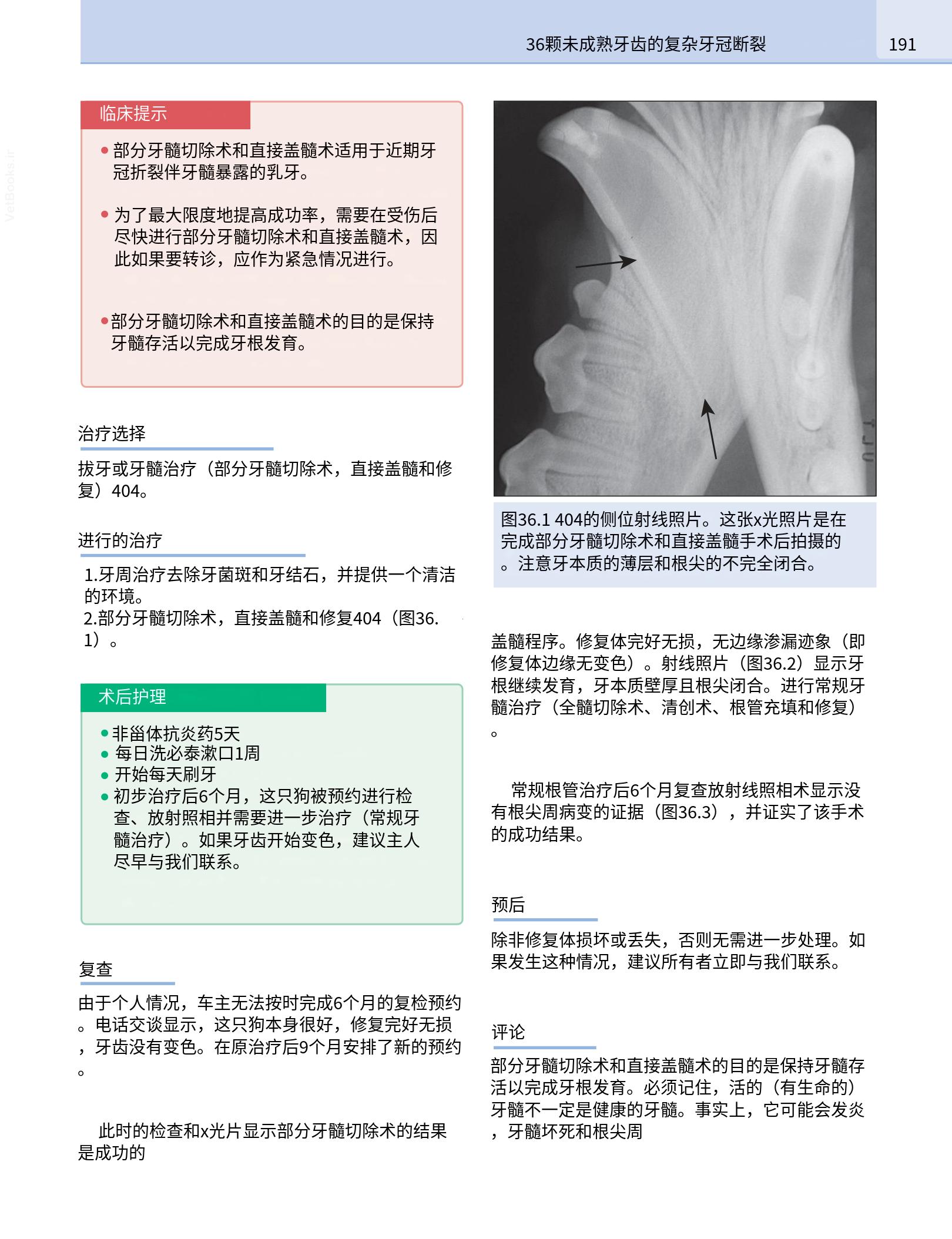 translated.190871bac2d541c7a0f8f6f738909688_207.png