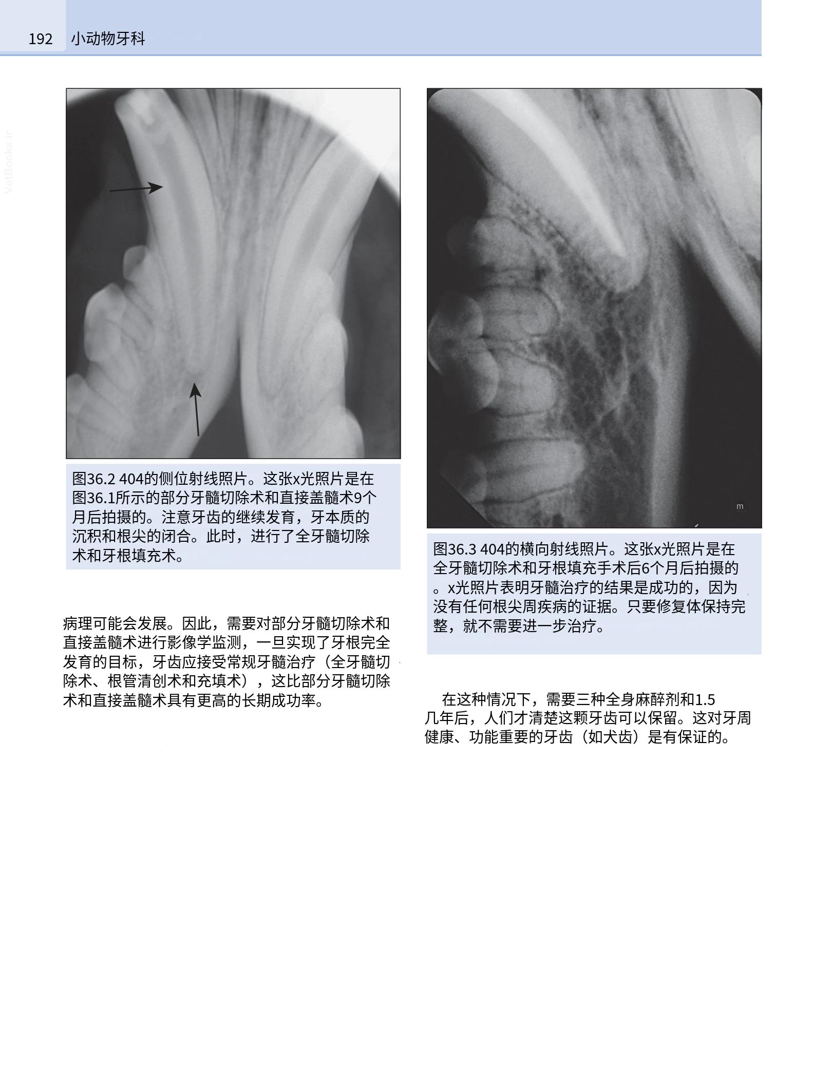 translated.190871bac2d541c7a0f8f6f738909688_208.png