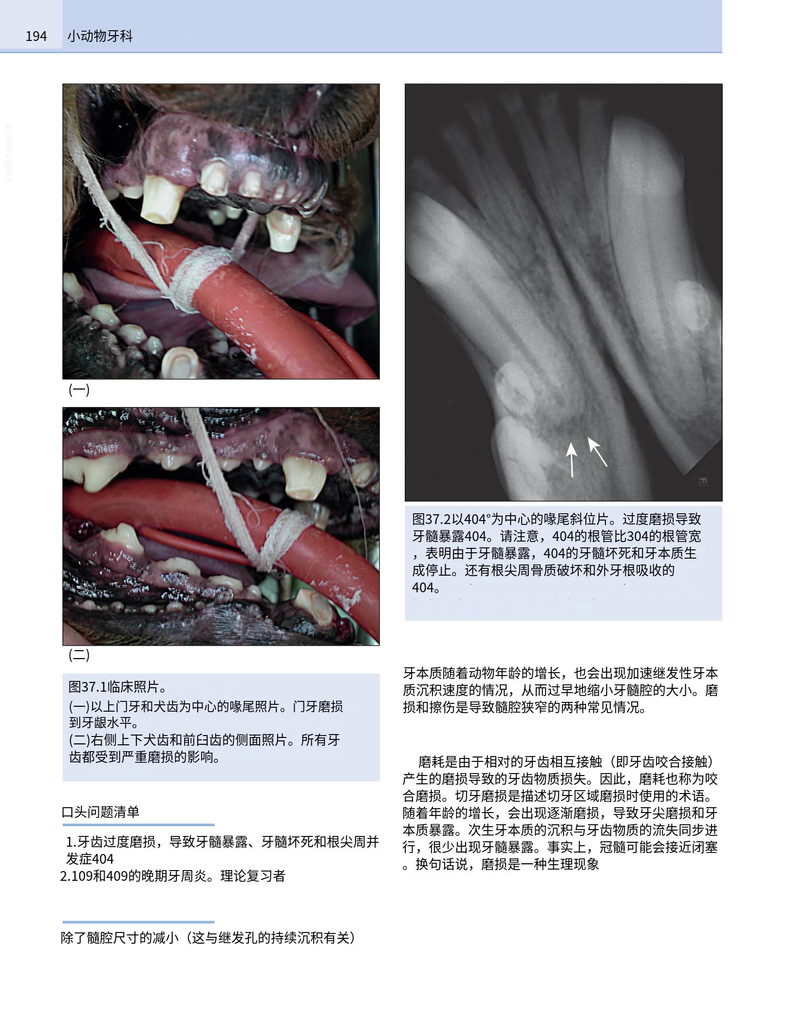 translated.190871bac2d541c7a0f8f6f738909688_210.png