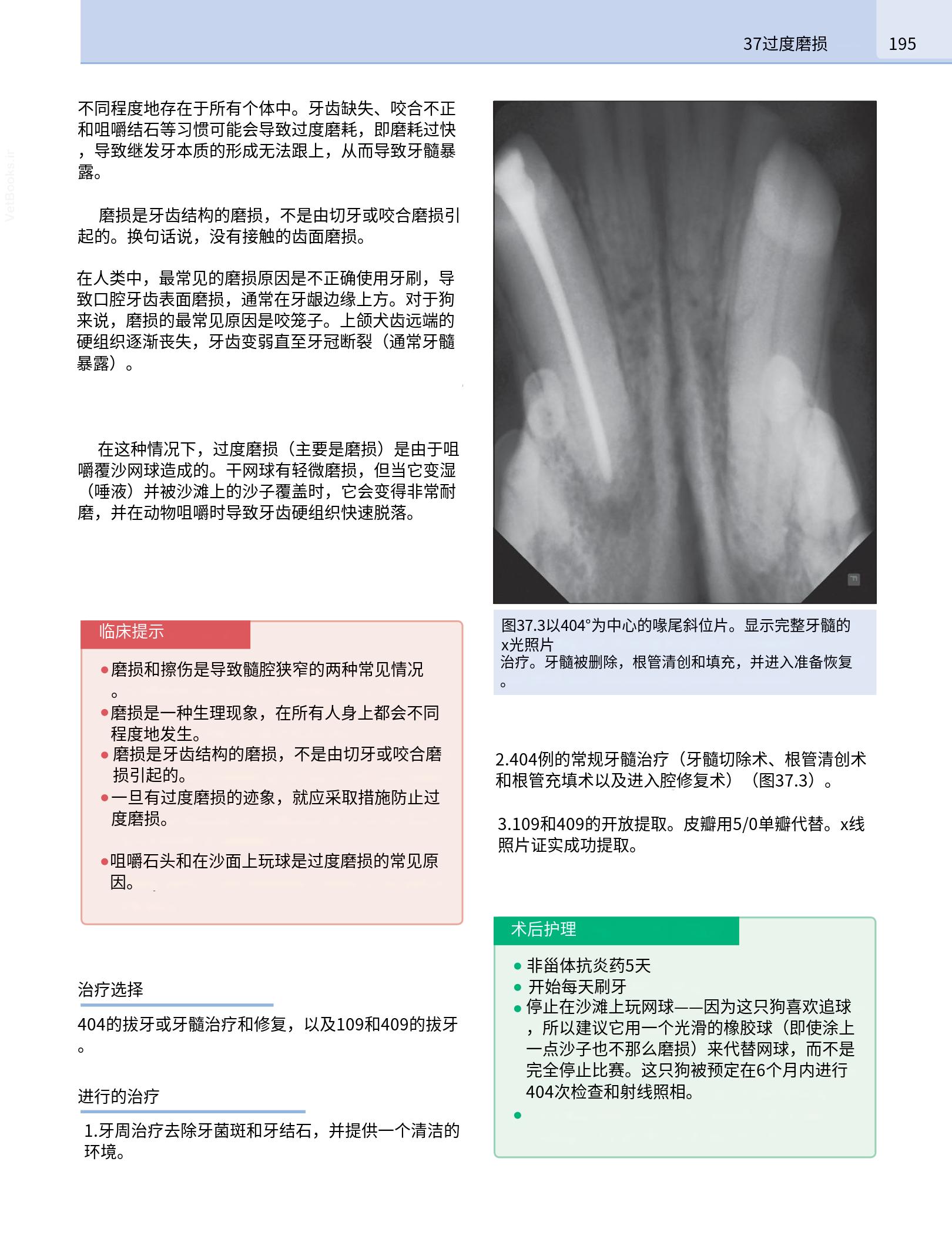translated.190871bac2d541c7a0f8f6f738909688_211.png