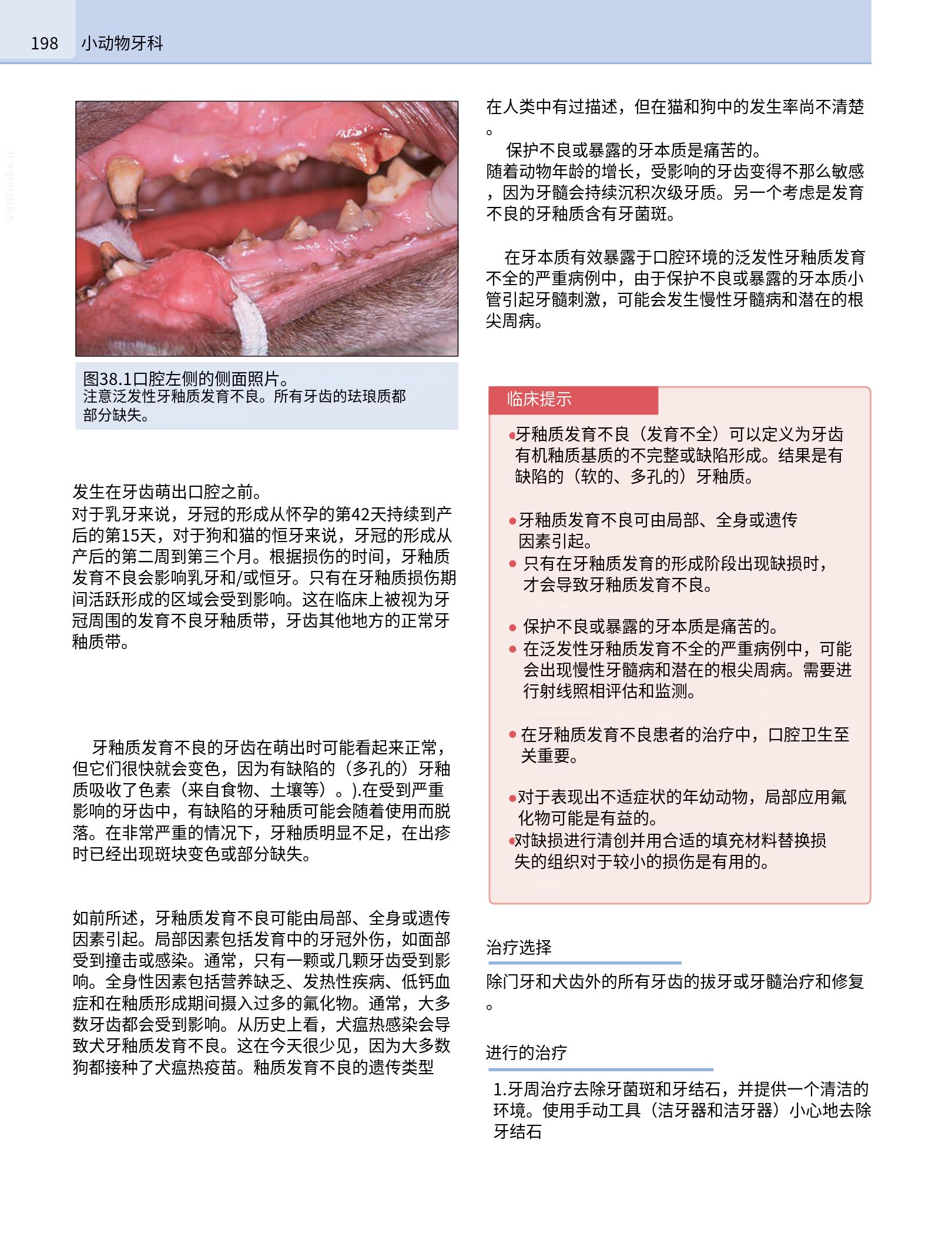 translated.190871bac2d541c7a0f8f6f738909688_214.png