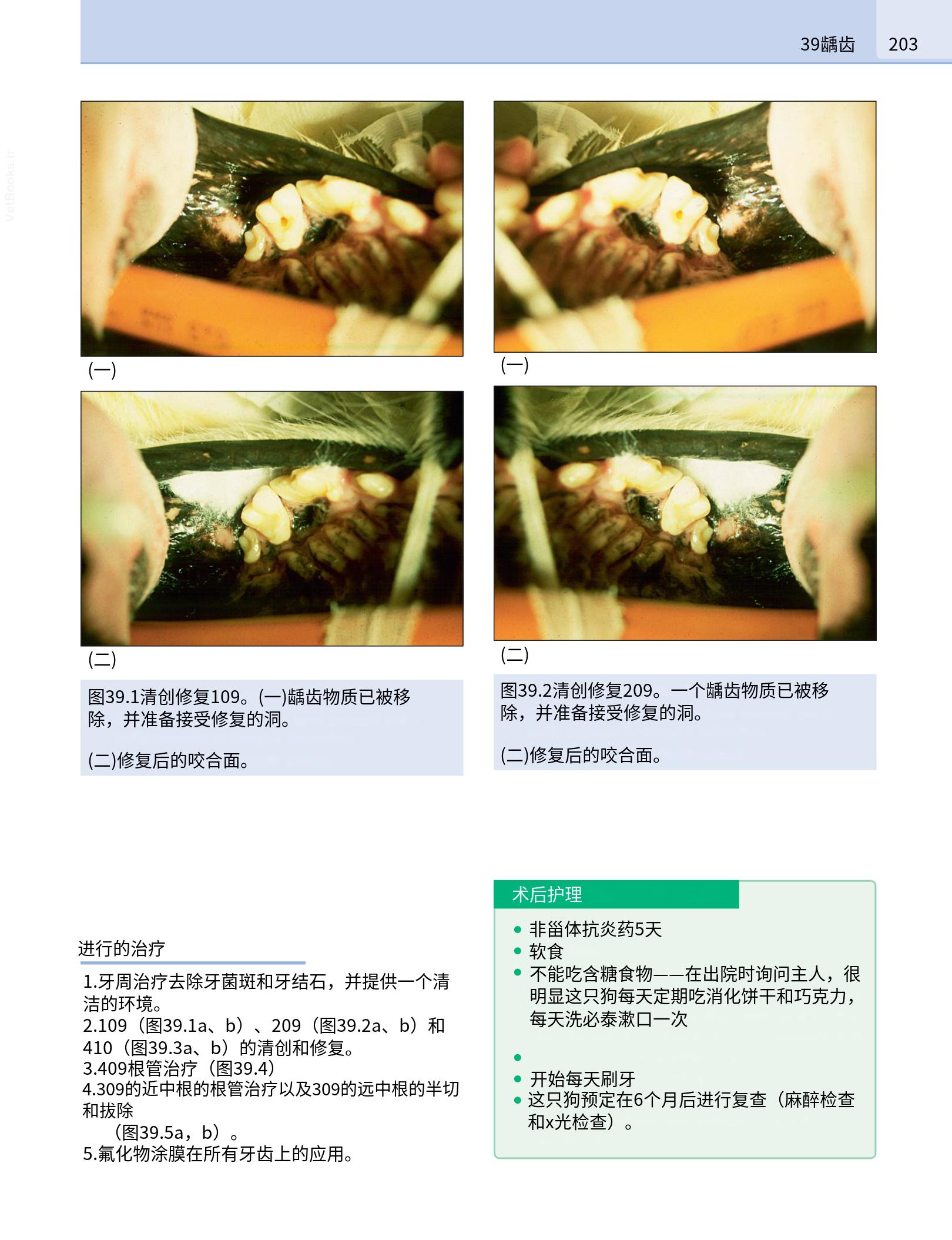 translated.190871bac2d541c7a0f8f6f738909688_219.png