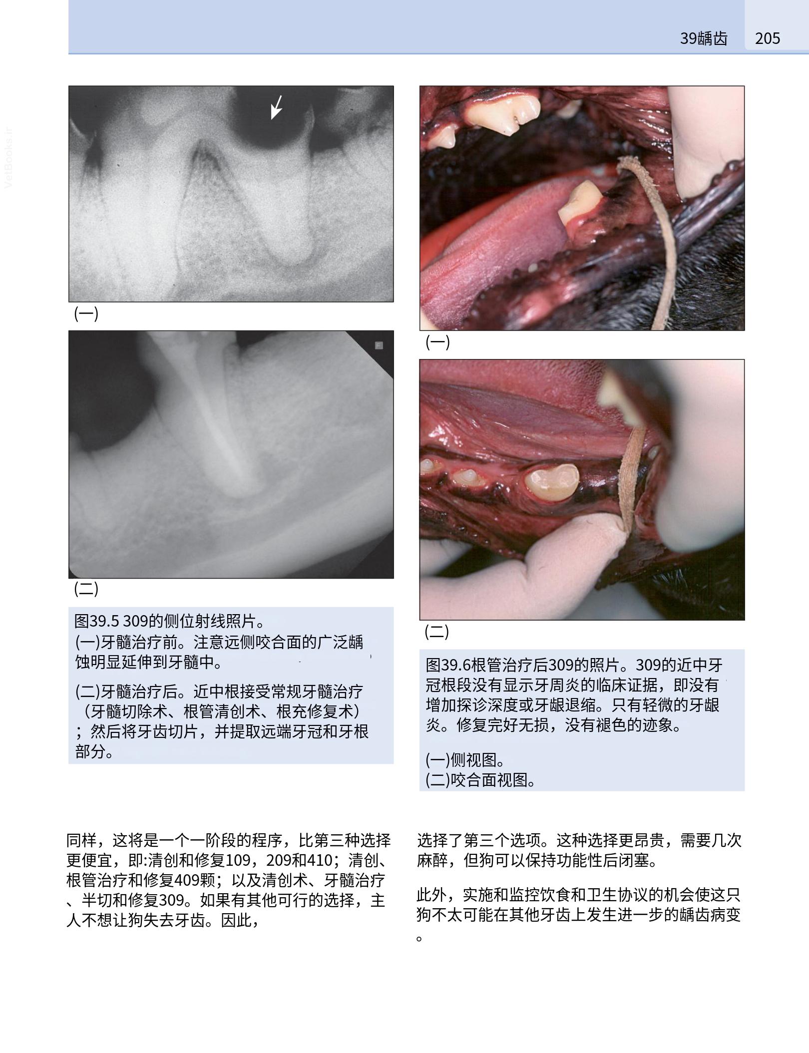 translated.190871bac2d541c7a0f8f6f738909688_221.png