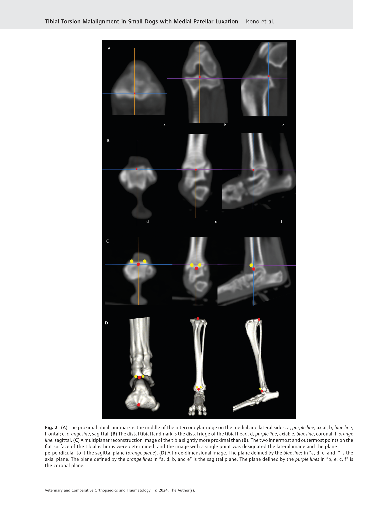 original.45ad35215a6b4b4e974c8574c315b818_4.png