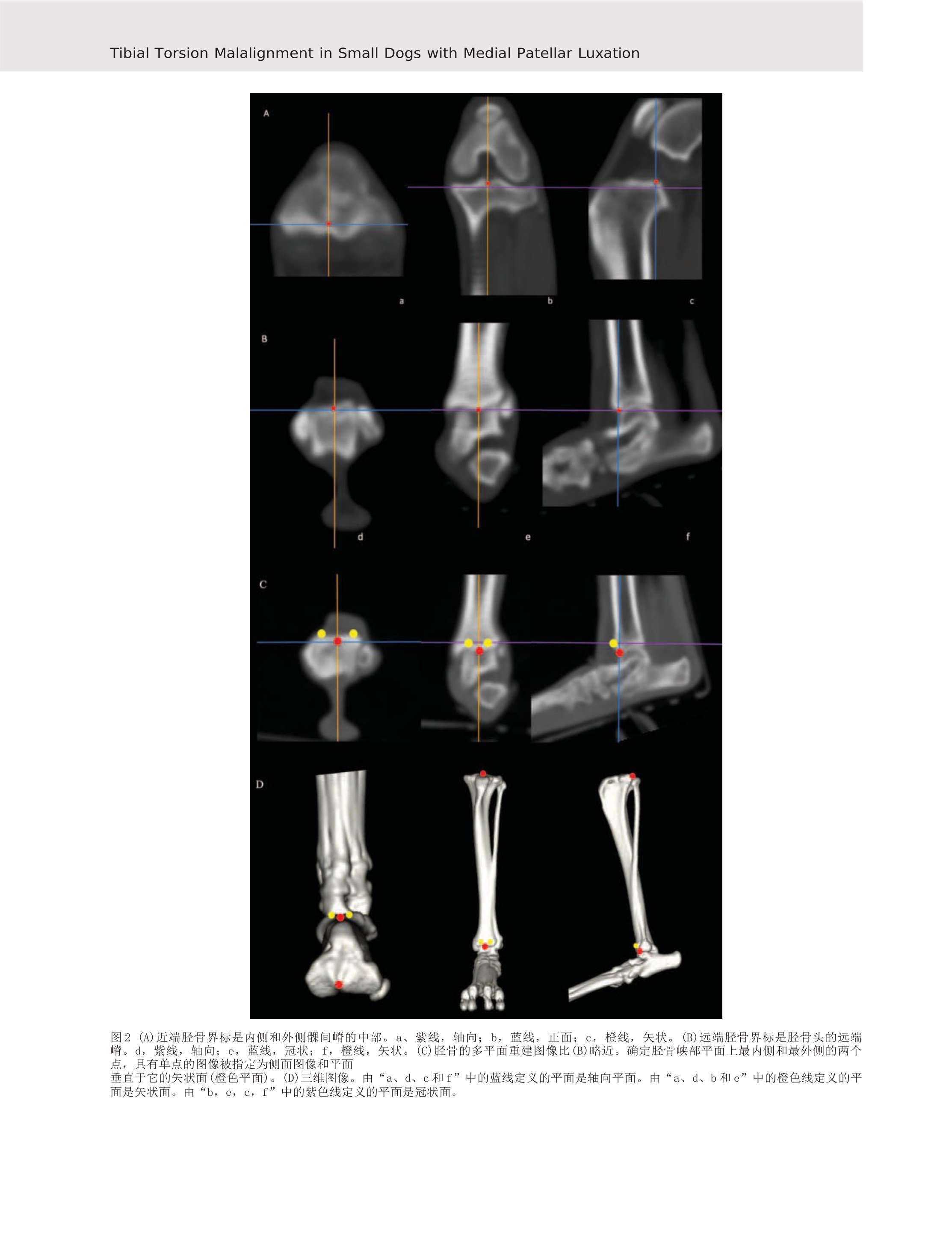 transedImg003 (1).jpg