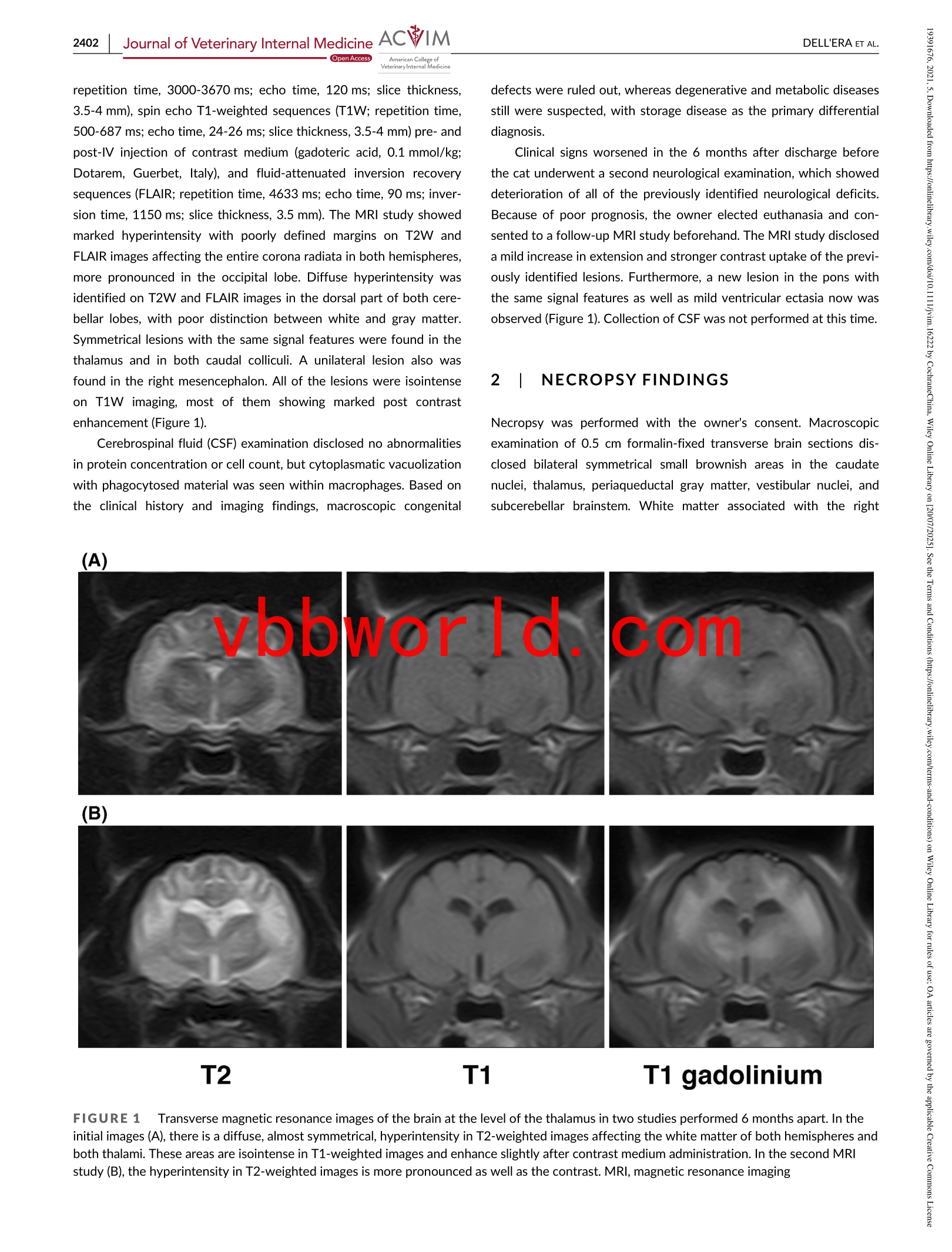 original.1f881f04016f4676aebbc300504bb793_2 (1).png