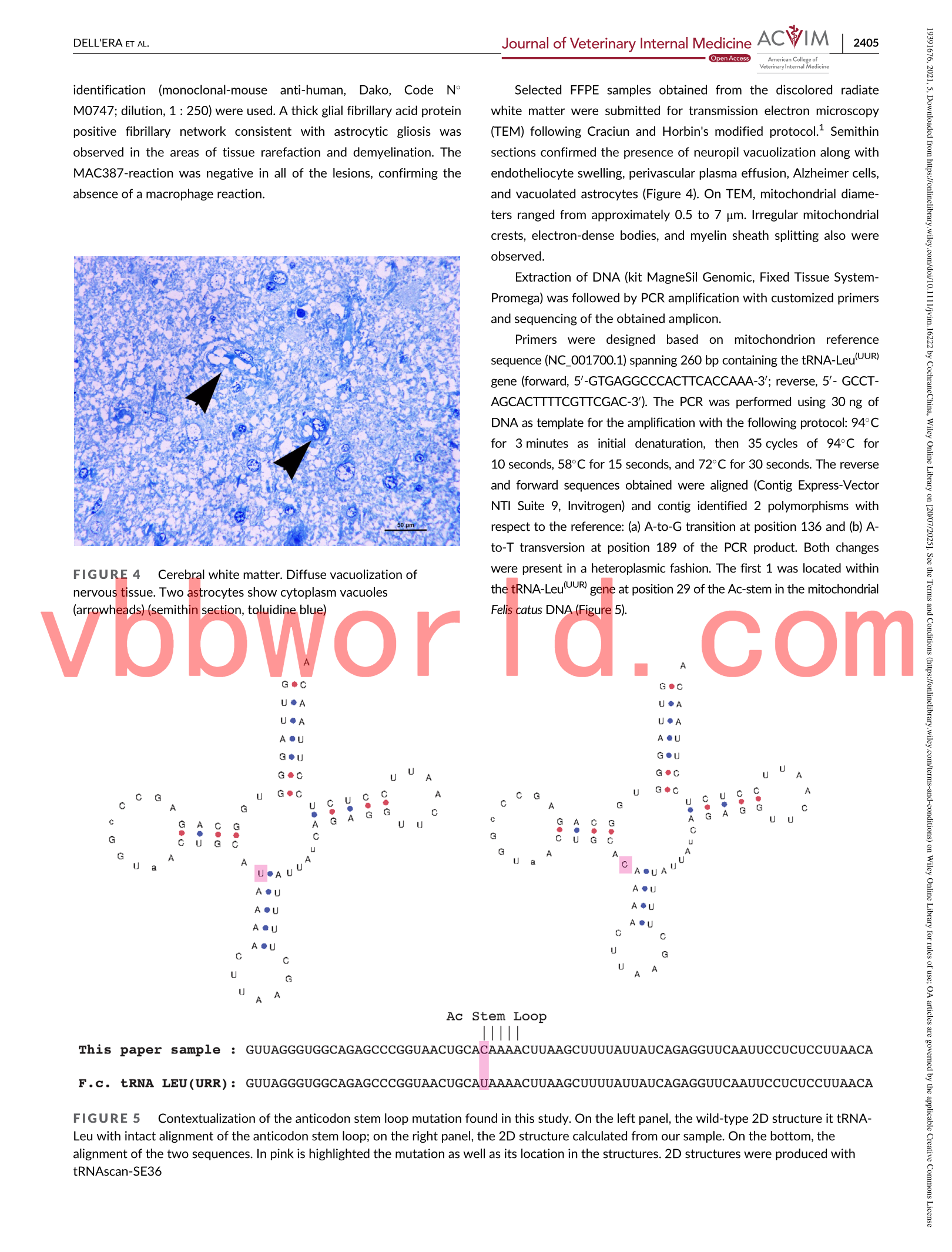 original.1f881f04016f4676aebbc300504bb793_5 (1).png